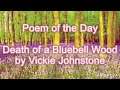 Poem of the Day #101 - 1.8.21 - Death of a bluebell wood