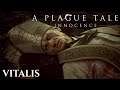 Vitalis - A Plague Tale: Innocence [Gameplay ITA] [FINE]