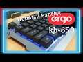 Обзор клавиатуры Ergo KB-650 | Первый взгляд