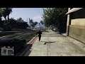 Grand Theft Auto V with friend