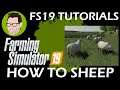 SHEEP HOW TO | FS19 | Farming Simulator 19