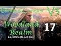 Woodland Realm - Divide & Conquer V3 TATW (Very Hard) - #17 | Lure them out!