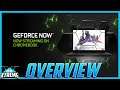 GeForce NOW On Google Chromebooks Overview! How To Set It Up And Impressions! Big News!