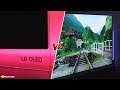 LG E9 OLED vs Samsung Q900r 8K TV: Best TV for Gaming?