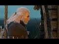 The Witcher 3: Wild Hunt bug