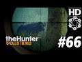 theHunter: Call of the Wild mit Joshu Let's Play #66 "Auf Büffeljagd" german deutsch HD PC