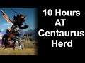 10 Hours AT Centaurus Herd :Black Desert Online