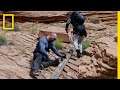 Dave Bautista Makes a Log Ladder | Running Wild With Bear Grylls