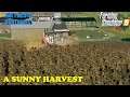 The Pacific Northwest Ep 127     Moved on up    harvesting sunflowers     Farm Sim 19