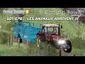 FS19 - LES ANIMAUX ARRIVENT - S01-EP06 - FARMING SIMULATOR 19