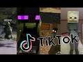 Minecraft Compilation TikTok 2020