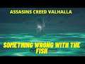 What is wrong with our fish Assasins Creed Valhalla (Humor and kinda rant)