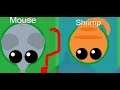 WHICH Is A BETTER Choice???| (New Game On My Channel) Mope.io