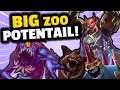 Winning With The WORST Class! | Zoo Has So Much Potential! | Hearthstone