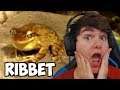 2 HOURS OF WADE SAYING RIBBIT...