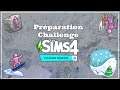 Préparation du challenge sur Escapade Enneigée ! Sims 4 Escapde Enneigée
