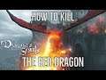 Demon's Souls Remake - How To Kill The Red Dragon Early