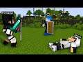Is There A WAR COMING IN MINETOPIA?!?! (Minetopia SMP)