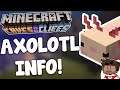Minecraft Axolotl Mob - Everything To Know! | Minecraft 1.17 Axolotl Breakdown (1.17 Caves & Cliffs)