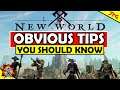 NEW WORLD TIPS GUIDE FOR MMO NOOBS! What I Learned From First 10 Hours Of The New World Beta!