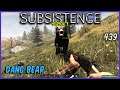 Subsistence  - Dang Bear  ep439 - Base building| survival games| crafting