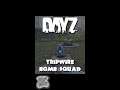 Tripwire Bomb Squad - DayZ 💥