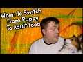 When To Switch From Puppy Food to Adult Food with tips Pupdate #31 MumblesVideos