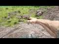 ARK SURVIVAL EVOLVED PRIMAL FEAR S2 E2 GETTING THAT FIRST TAME