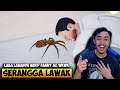 JADI SERANGGA MENGGANGGU MANUSIA NGAKAK ONLINE WKWK - SLAP THE FLY INDONESIA