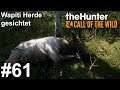 Rockys erkunden und Wapiti Herde gesichtet | theHunter Call of the Wild #61 | Deutsch | UwF