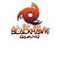 BlackHawk Gaming
