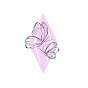 Flutter Mania