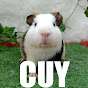 Gem Cuy
