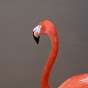 Los Flamingos Play