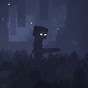 Mr. Minecrafter