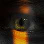 World as I see! 