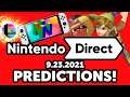 Nintendo Direct 9.23.2021 Predictions! (Zelda, Splatoon 3, Smash)