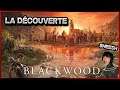 The Elder Scrolls Online - Blackwood : La Découverte ! | Let's Play FR | Madeia