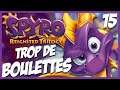 Spyro 2 Let's Play #15 Boulettes de Feu et de Glace (Reignited Trilogy PS4)