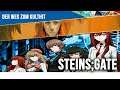 Von Steins;Gate zu 0! - Wie sich eine Visual Novel zum Anime Erfolg spielte
