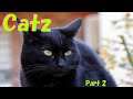 Getting To Know Leon - Catz GBA Part 2
