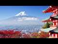 Beautiful and Relaxing Japanese Music - Beautiful Music for Studying & Sleeping