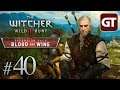 The Witcher 3: Blood & Wine #40 - Der Wichter - Let's Play The Witcher 3: BaW