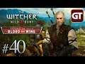 The Witcher 3: Blood & Wine #40 - Der Wichter - Let's Play The Witcher 3: BaW