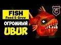 Огромный Ubur Против Щуки Босса ∎ Feed and Grow Fish прохождение #3