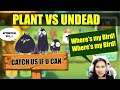 Plant Vs Undead NFT gaming - Can I be a Pro Bird Catcher? Audrey Livestream Play to Earn series