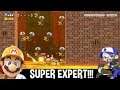 FIREY FRIENDS - Super Mario Maker 2 (Super Expert Levels)