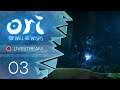 Ori and the Will of the Wisps [Blind/Livestream] - #03 - Optionale Kampfarena