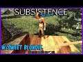 Subsistence Base building| survival games| crafting