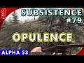 Subsistence (A.53) #79 | Opulence